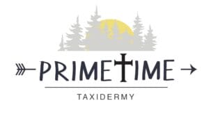 Primetime Taxidermy Logo for Taxidermist web design