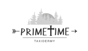 Primetime Taxidermy Logo for Taxidermy web design