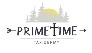 Primetime Taxidermy Logo for Taxidermy web design