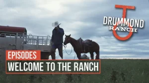 Drummond Ranch cowboy walking horse